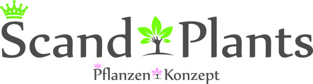 Scandplants+Pflanzenkonzept Logo Final klein ohne DE 10-2016